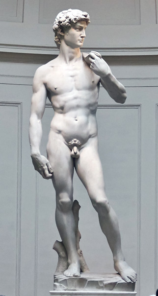 Michelangelo goli david Michelangelo