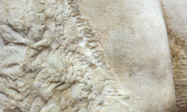 Detail of chisel marks left on the Young Slave